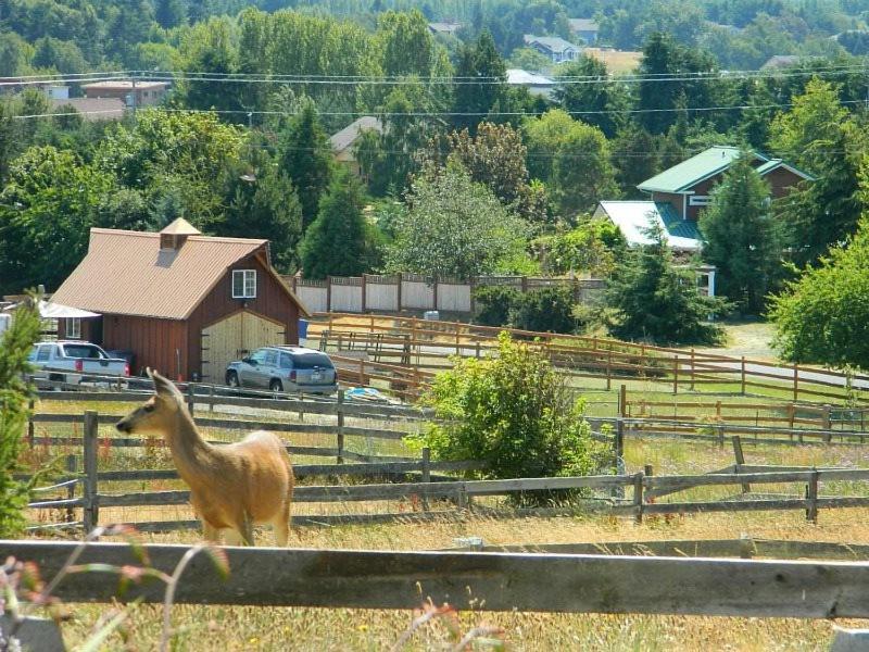 Sq Olympic-View-Cottage Sequim Luaran gambar