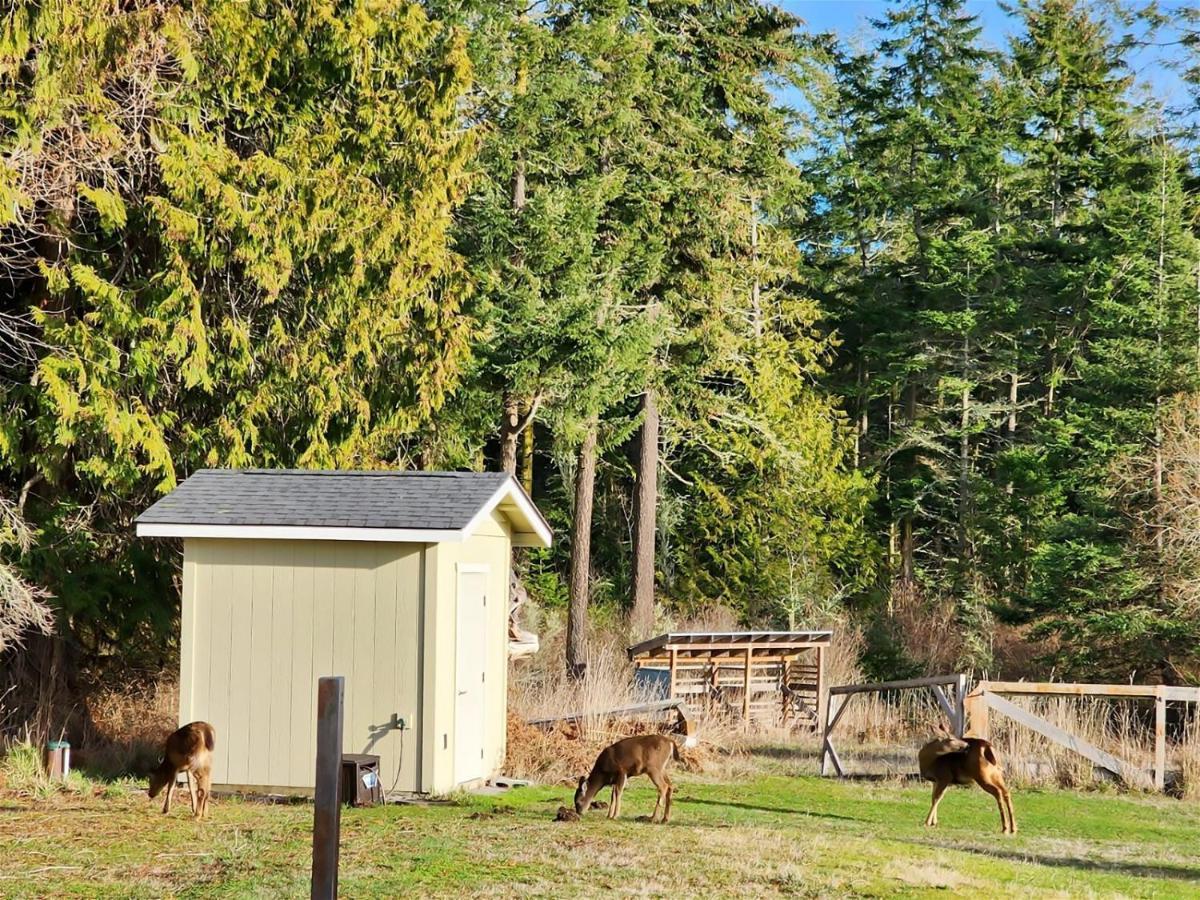 Sq Olympic-View-Cottage Sequim Luaran gambar